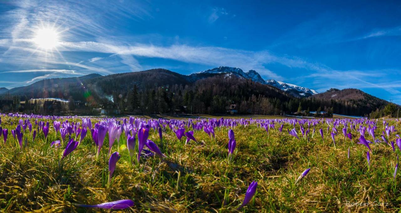 Regionalny Domek Pod Skocznia Закопане Екстер'єр фото